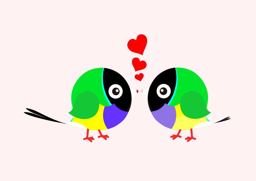 gouldian finch wallpaper 4k